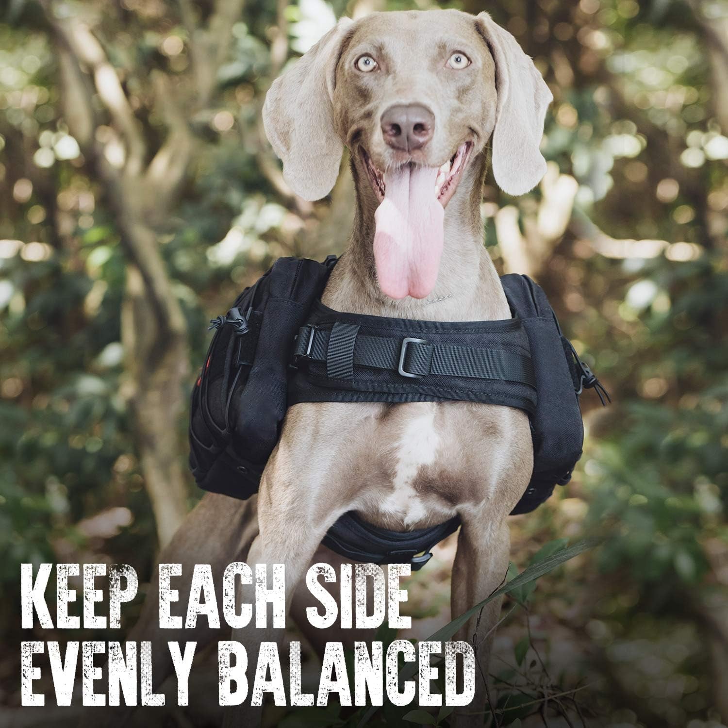 Dog Backpack for Medium & Large Dogs, Nylon Backpack for Dogs Tactical Pet Backpack with Side Pockets for Hiking Walking Training Running (Black, Large)