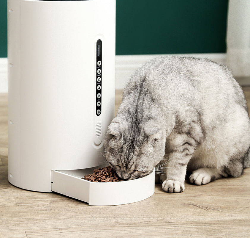 Smart Timed Pet Feeder For Optimal Care