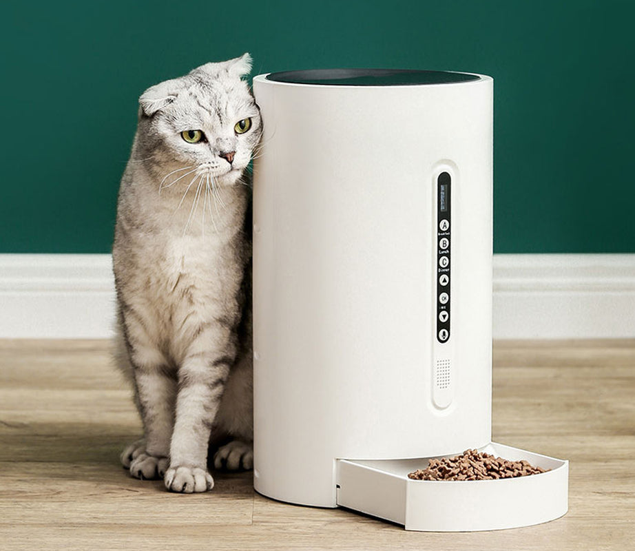 Smart Timed Pet Feeder For Optimal Care