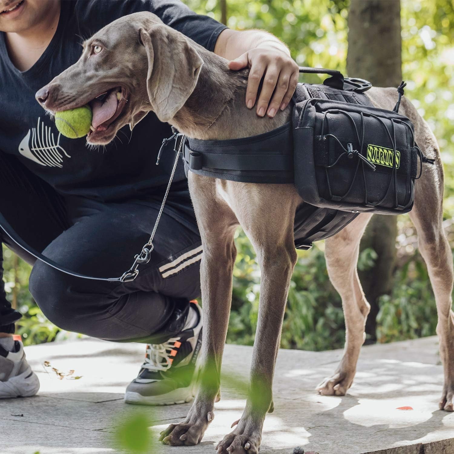 Dog Backpack for Medium & Large Dogs, Nylon Backpack for Dogs Tactical Pet Backpack with Side Pockets for Hiking Walking Training Running (Black, Large)